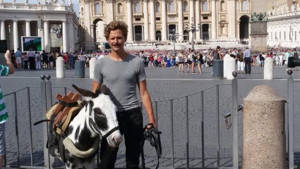 Zwei Esel waren in Rom