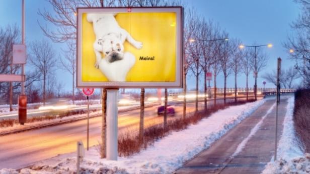 Eine Werbetafel mit einem Bild von zwei Hunden an einer verschneiten Straße.