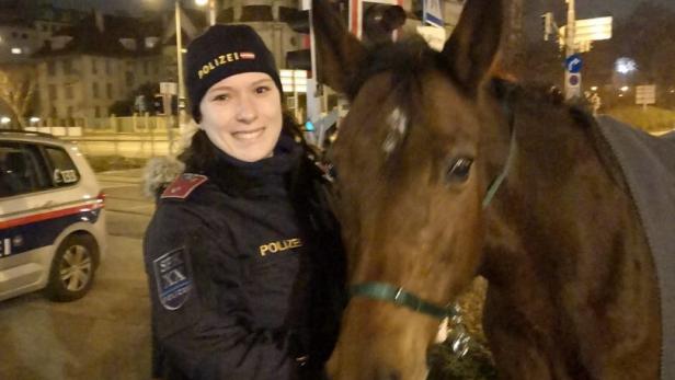 Wien: Entwischtes Pferd lief am Handelskai auf Fahrbahn umher