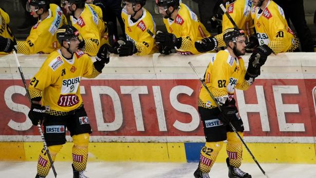 Zwei Eishockeyspieler in gelben Trikots jubeln auf dem Eis, während ihre Teamkollegen auf der Bank sitzen.