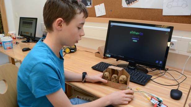 Georg hat aus Kartoffeln einen Joystick für ein PC-Spiel gebastelt