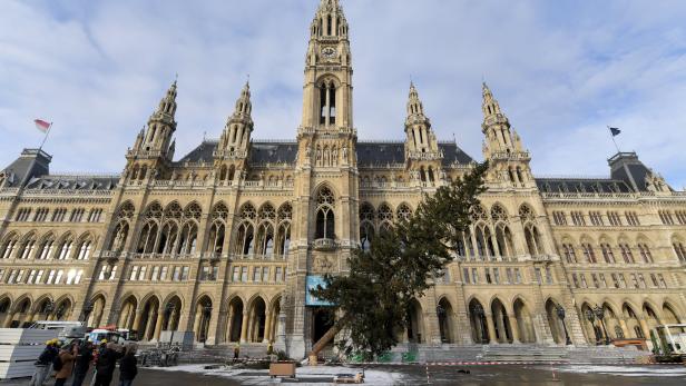 Weihnachtsschmuck zum Heizen: Christbaum vor Wiener Rathaus gefällt