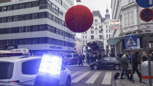 Wiener Mafia-Mord: Zeuge bald auf Kaution frei
