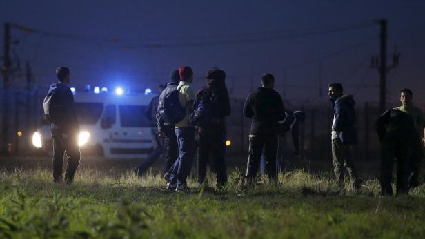 Eine Gruppe von Menschen steht nachts auf einem Feld, im Hintergrund ein Fahrzeug mit Blaulicht.