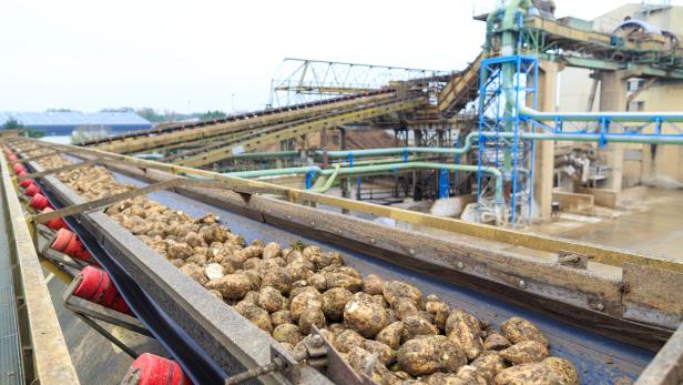 Agrana schließt Zuckerrübenfabrik in Leopoldsdorf