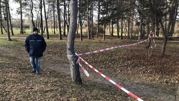 Mord und Überfälle: Wiener Neustadt ringt um mehr Sicherheit