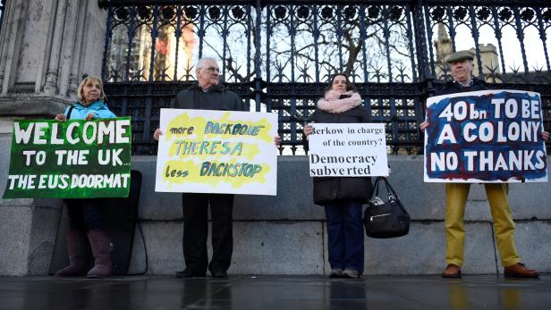 Befürworter des Brexit vor dem Parlament in London