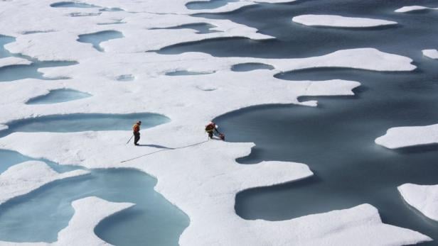 RNPS IMAGES OF THE YEAR 2012 - The crew of the U.S. Coast Guard Cutter Healy, in the midst of their ICESCAPE mission, retrieves supplies for some mid-mission fixes dropped by parachute from a C-130 in the Arctic Ocean in this July 12, 2011 NASA handout photo obtained by Reuters June 11, 2011. Scientists punched through the sea ice to find waters richer in phytoplankton than any other region on earth. Phytoplankton, the base component of the marine food chain, were thought to grow in the Arctic Ocean only after sea ice had retreated for the summer. Scientists now think that the thinning Arctic ice is allowing sunlight to reach the waters under the sea ice, catalyzing the plant blooms where they had never been observed. REUTERS/Kathryn Hansen/NASA (UNITED STATES - Tags: ENVIRONMENT SCIENCE TECHNOLOGY) THIS IMAGE HAS BEEN SUPPLIED BY A THIRD PARTY. IT IS DISTRIBUTED, EXACTLY AS RECEIVED BY REUTERS, AS A SERVICE TO CLIENTS. FOR EDITORIAL USE ONLY. NOT FOR SALE FOR MARKETING OR ADVERTISING CAMPAIGNS