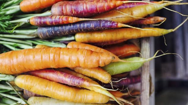 Von weiß bis violett: Karotten