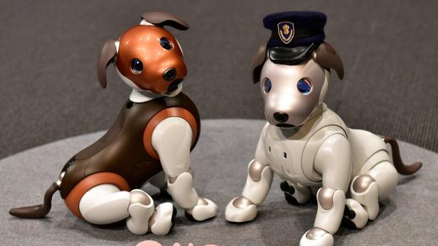 Sonys Roboterhund soll Familienmitglieder überwachen