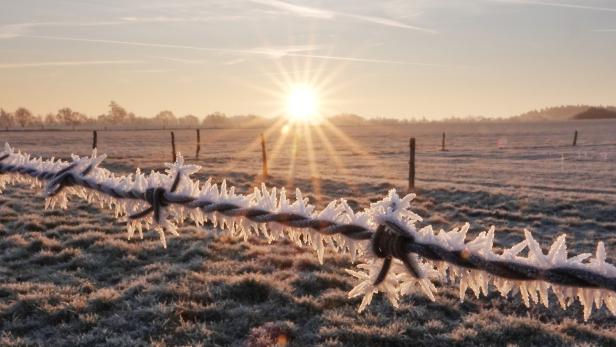 Ein mit Frost überzogener Stacheldraht vor einer winterlichen Landschaft im Sonnenaufgang.
