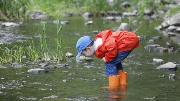 Projekte: Jugendliche engagieren sich für die Umwelt