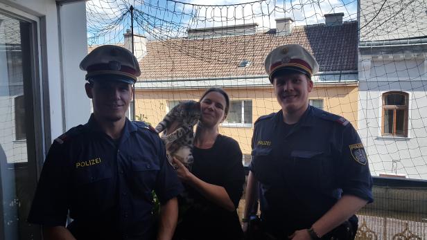 Haustier in Not: Polizisten retten Katze