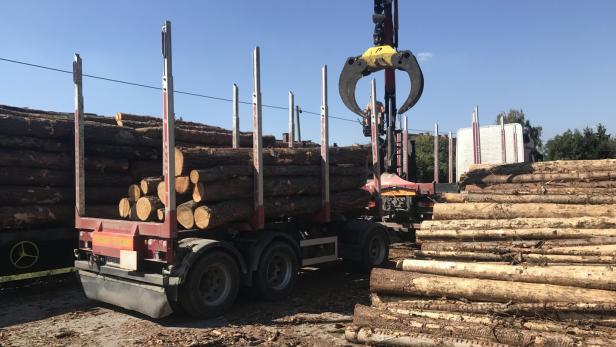 Holz-Lkw weiter im Stadtzentrum: Warten auf neue Verladestelle