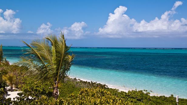 Ein tropischer Strand mit türkisfarbenem Wasser und Palmen unter blauem Himmel.