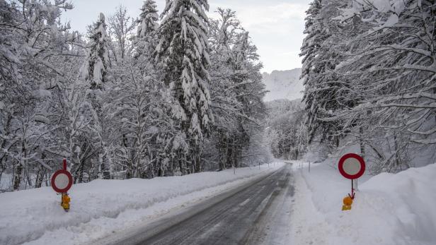 Eine verschneite Straße führt durch einen Winterwald mit Verbotsschildern.