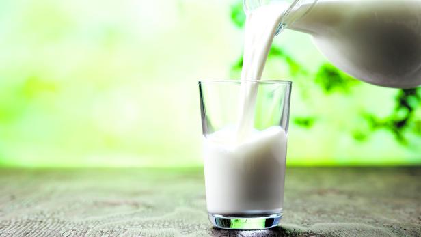 Pouring milk in the glass on the background of nature.