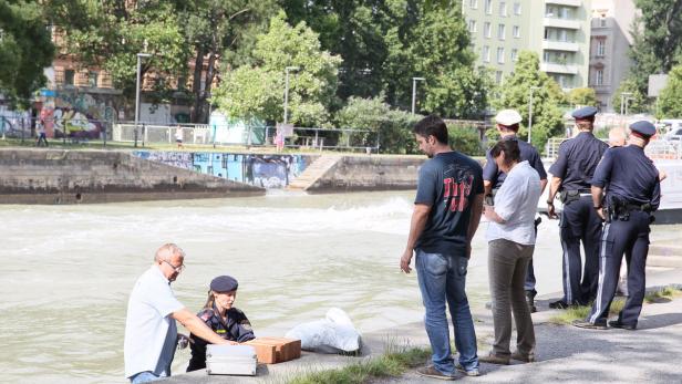 Die Leiche wurde aus dem Donaukanal geborgen.