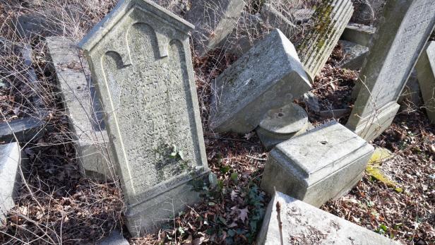 Gestrüpp entfernen, Grabsteine sanieren: Verein nimmt sich Jüdischen Friedhofs an