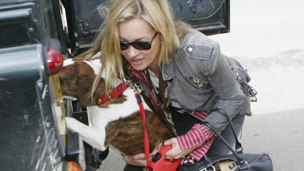 Kate Moss & Jamie Hince: Streit um den Hund