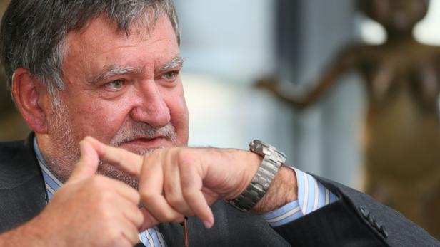Hausdurchsuchungen bei Ex-RBI-Chef Stepic