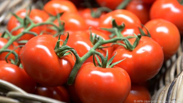 Den besten Geschmack haben Tomaten, die in der Region geerntet werden