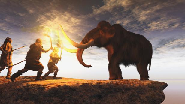 35.000 Jahre alt: Überreste von Mammuts bei Bauarbeiten entdeckt