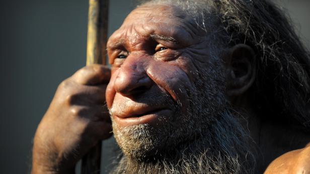 Neandertaler jagten Großwild mit komplexen Waffen