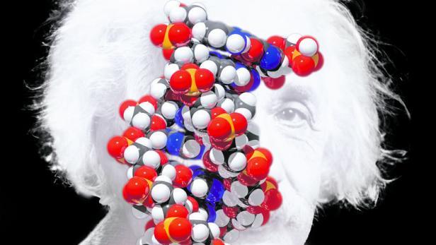 Die Suche nach dem Einstein-Gen