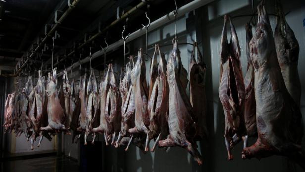 Sheep carcases hang in a refrigerator at Darkhan Meat Foods that produces halal meat in Darkhan-Uul province