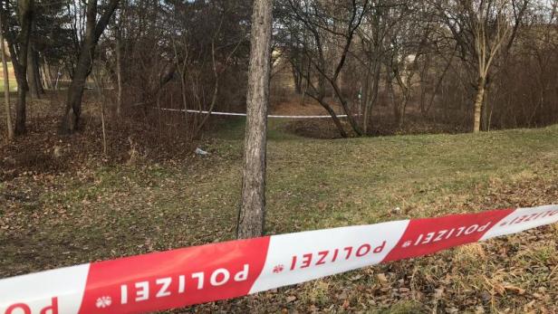 Mord in Wiener Neustadt: Video soll Verdächtigen entlasten