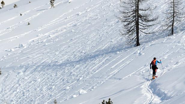 Rücksichtslose Skifahrer: Aktion scharf gegen Störer der Waldruhe