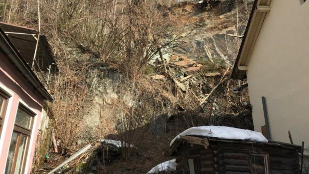 Ein steiler Hang mit Bäumen und Sträuchern befindet sich neben Wohnhäusern.