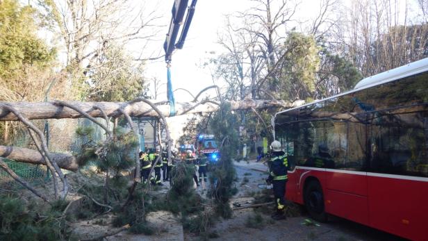 Sturm über Österreich: Bus kollidierte in Wien mit Baum