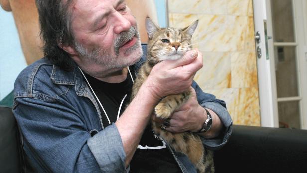 Ein Mann hält eine getigerte Katze im Arm.