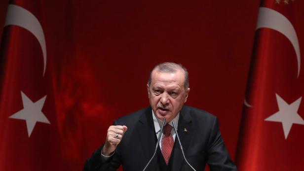 Spitzel: Erdogans langer Arm in Österreich