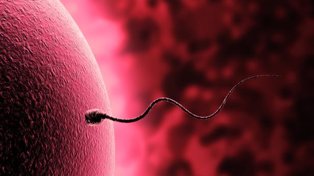 CoV-Erbgut im Sperma: Bedeutet das ein Ansteckungsrisiko?