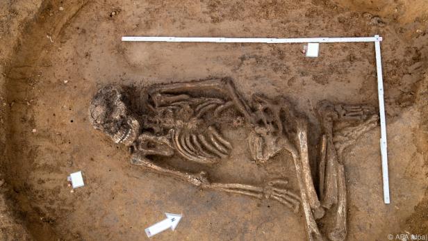 Sehr gut erhaltenes Skelett ist 6.500 Jahre alt