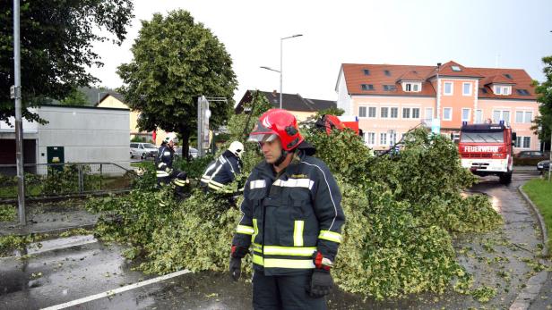 In Pinkafeld im Burgenland blockierten entwurzelte Bäume die Straßen