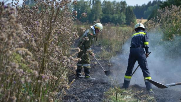 Brände im Waldviertel: 120 Feuerwehrleute im Einsatz