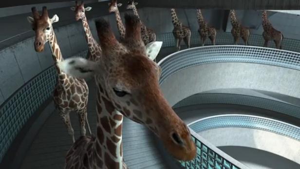 giraffe.jpg Giraffen, die vom Turm springen