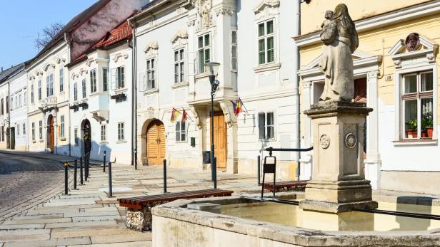 Die diesjährige Sonderausstellung im Haydn Haus in Eisenstadt wird am Donnerstag eröffnet.