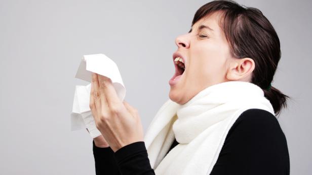 Quiz: Erkältung oder Allergie – erkennen Sie die Symptome?