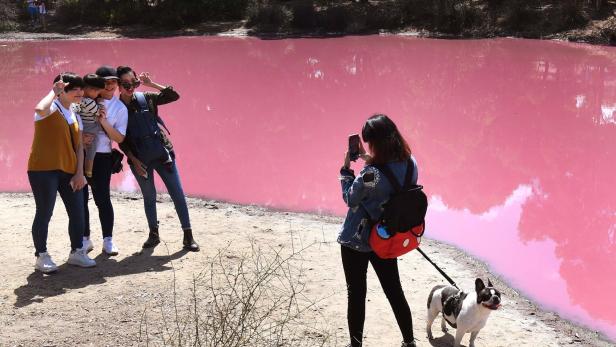 Der Pink Lake ist ein Salzsee in Westaustralien.
