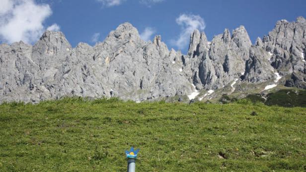 Eine grüne Wiese vor einer zerklüfteten Bergkette unter blauem Himmel.