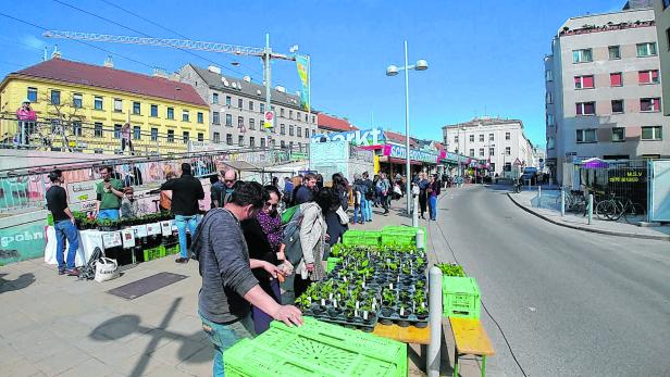 Wo Wien demächst mit Pflanzenmärkten für Balkonien aufwartet