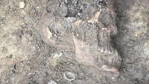 Archäologische Grabungen auf Schlumberger-Areal abgeschlossen