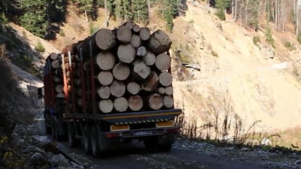 Holz ist eines der wichtigsten Exportgüter Rumäniens: Doch dafür werden auch geschützte Wälder geopfert.
