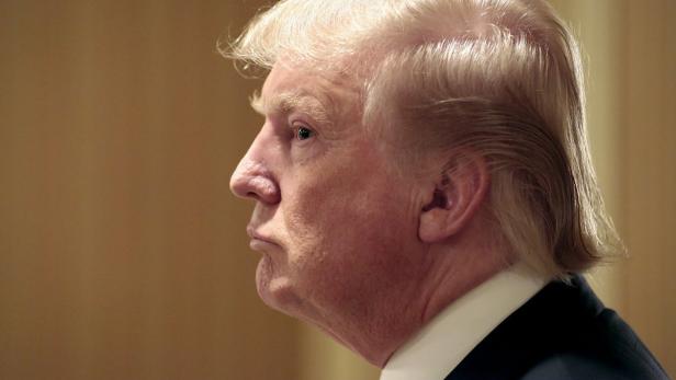 Das Netz spottet über Donald Trumps Frisur