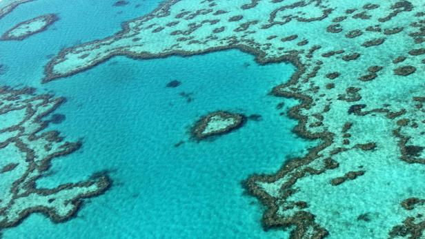 Das Great Barrier Reef liegt vor der Küste Queenslands im Nordosten Australiens.
